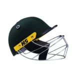 HS 41 Cricket Helmet