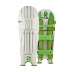 CA Pro 12000 Cricket Pads