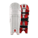 CA Pro 15000 Players Edition Cricket Pads